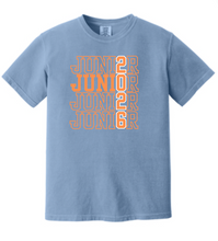 Load image into Gallery viewer, Comfort Colors Junior Tshirt
